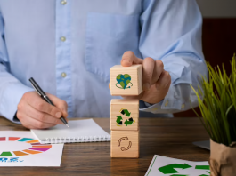 Sustentabilidade: saiba como sua empresa pode contribuir com ESG e economia circular